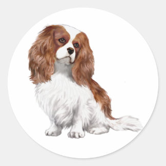 Pegatina Redonda Cavalier King Charles Spaniel (A) - Blenheim 1