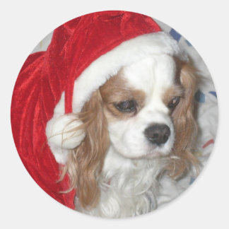 PEGATINA REDONDA CAVALIER KING CHARLES SPANIEL DOG CON SANTA HAT