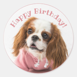 Pegatina Redonda Cavalier King Charles Spaniel Pink Happy Birday