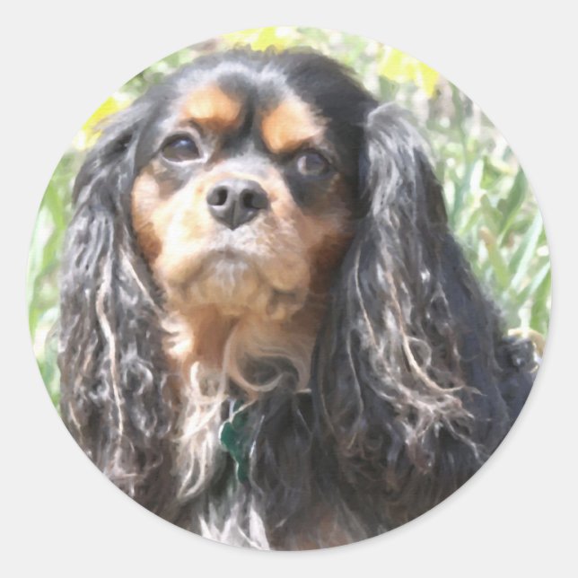 Pegatina Redonda Cavalier King Charles Spaniel pintado (Anverso)