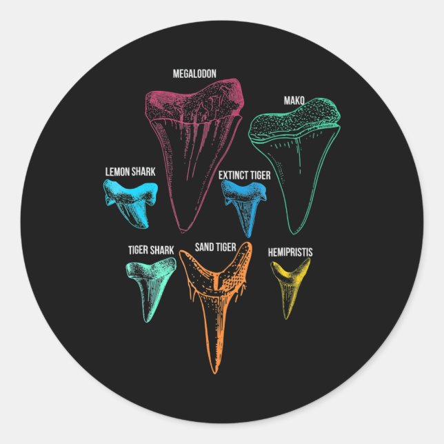 Pegatina Redonda Caza de dientes de tiburón - Regalos locos de tibu (Anverso)