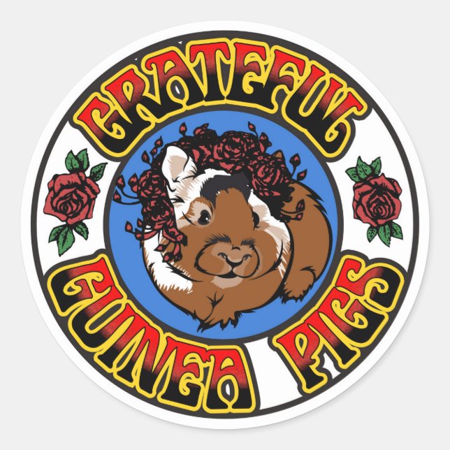Pegatina Redonda Cerdo de Guinea agradecido (Anverso)