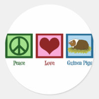 Cerdo de Guinea Cuta