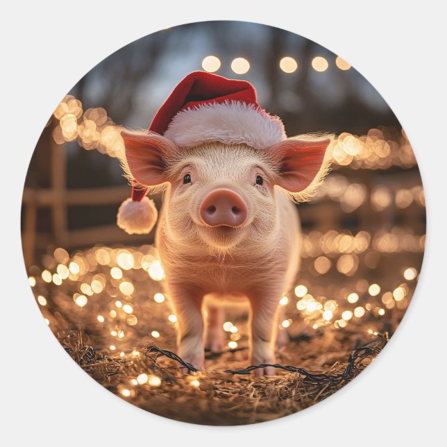 Pegatina Redonda Cerdo en un Sombrero (Anverso)