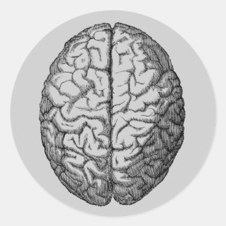 Pegatina Redonda Cerebro