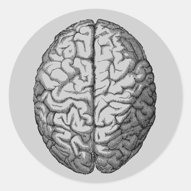 Pegatina Redonda Cerebro (Anverso)
