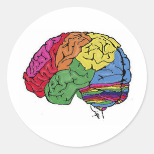 Pegatina Redonda Cerebro arco iris