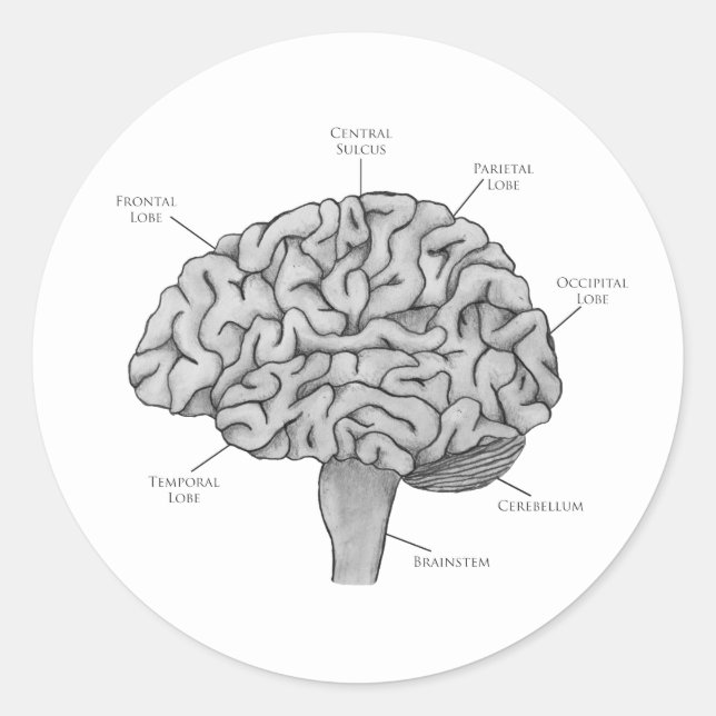Pegatina Redonda Cerebro científico (Anverso)