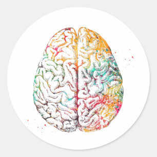 Pegatina Redonda Cerebro humano