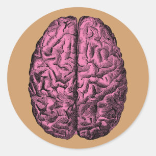 Pegatina Redonda Cerebro humano de la anatomía