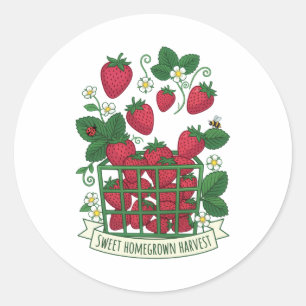 Pegatina Redonda Cesta de Frutas Frescas de Fresa Dulce de Bayas