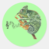 Chameleon Jazz