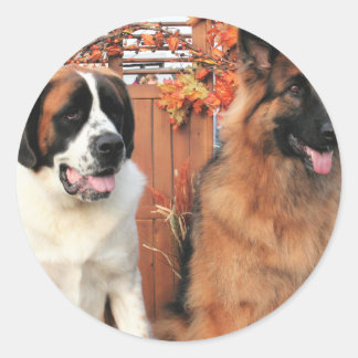 Pegatina Redonda Chance LH-Shepherd Mae St Bernard Photo-3