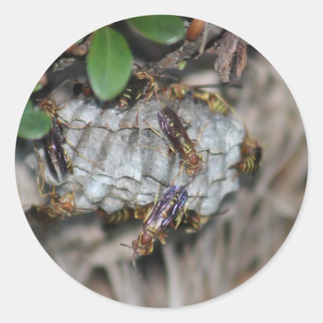 Pegatina Redonda Chaquetas de seguimiento #2 (Anverso)