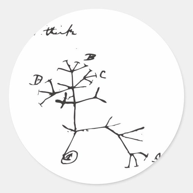 Pegatina Redonda Charles Darwin - Creo (Negro) (Anverso)