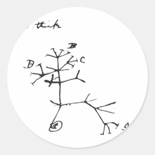 Pegatina Redonda Charles Darwin - pienso (el negro)