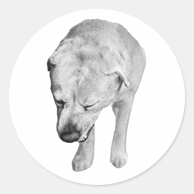 Pegatina Redonda Cheeky Head-Down Lab, Feathered Tones (Anverso)