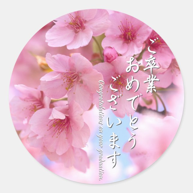 Pegatina Redonda Cherry blossom "Kawazu-Zakura"  ラウンドシール (Anverso)