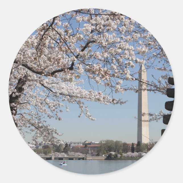 Pegatina Redonda Cherry Blossom Washington DC (Anverso)