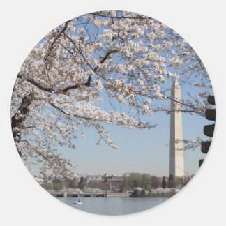 Pegatina Redonda Cherry Blossom Washington DC