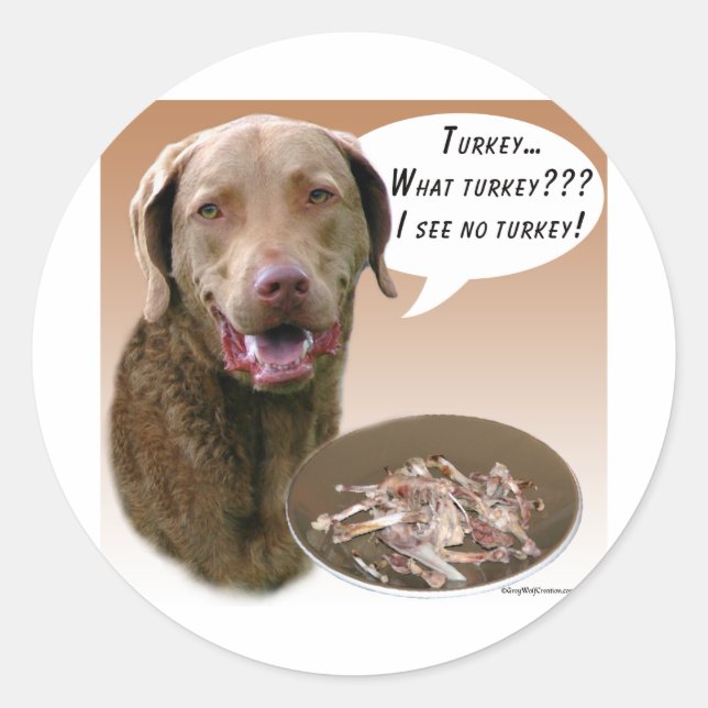 Pegatina Redonda Chesapeake Bay Retriever Turquía (Anverso)