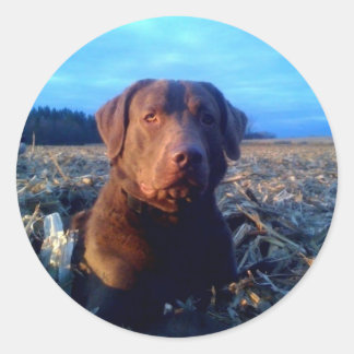 Pegatina Redonda Chessie