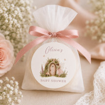 Chica Hada Bosque Rosa Fiesta Baby Shower