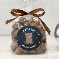 Chica rosa Baby Shower con un cubo cósmico y salva