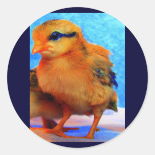 Pegatina Redonda Chick-A-Dee-Light de Pascua