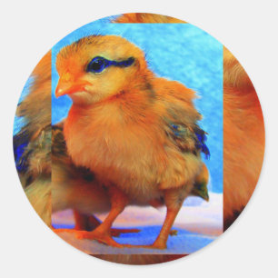 Pegatina Redonda Chick-A-Dee-Light I