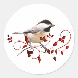 Pegatina Redonda Chickadee