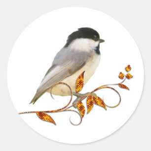 Pegatina Redonda Chickadee sobre hojas de yeso