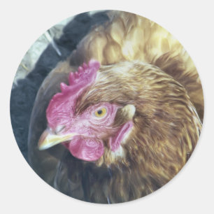 PEGATINA REDONDA CHICKENS