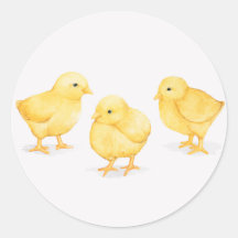 CHICKS DE ORIENTE ROUND PEGATINAS CLÁSICOS