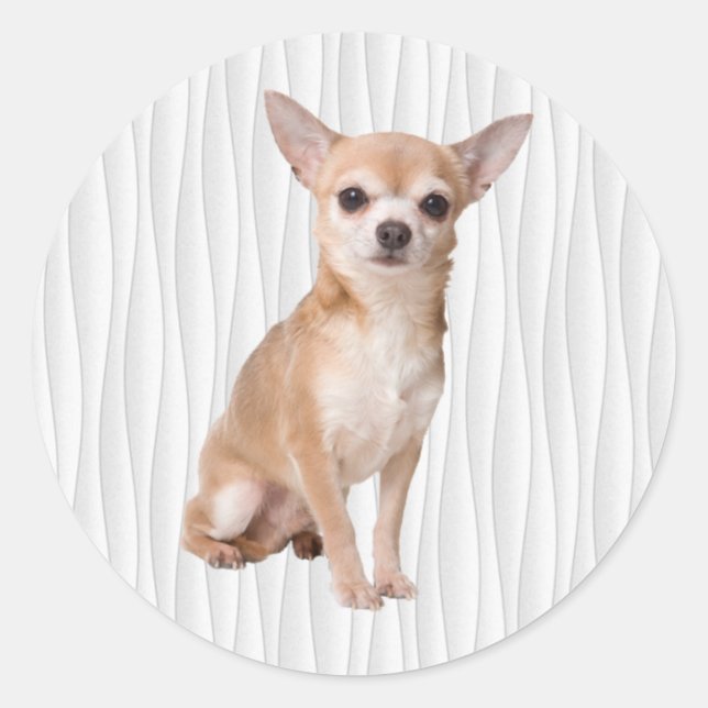 Pegatina Redonda Chihuahua (Anverso)