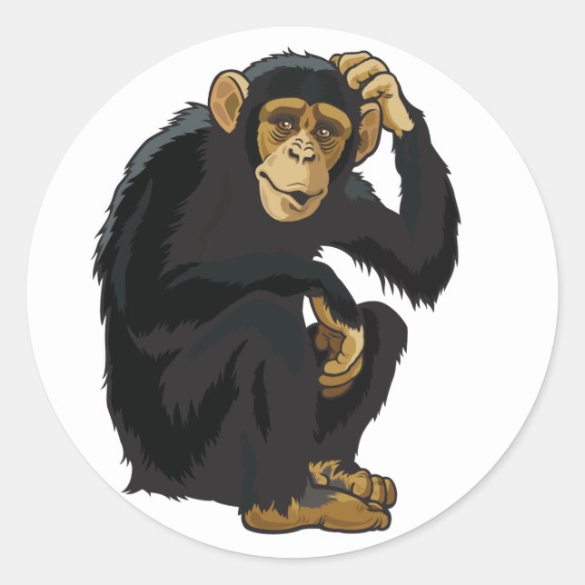Pegatina Redonda chimpancé (Anverso)