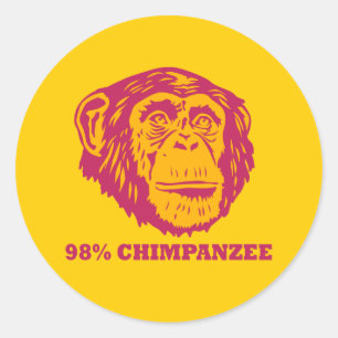 Pegatina Redonda Chimpancé del 98%