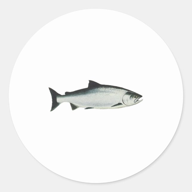 Pegatina Redonda Chinook - Rey Salmón (Anverso)