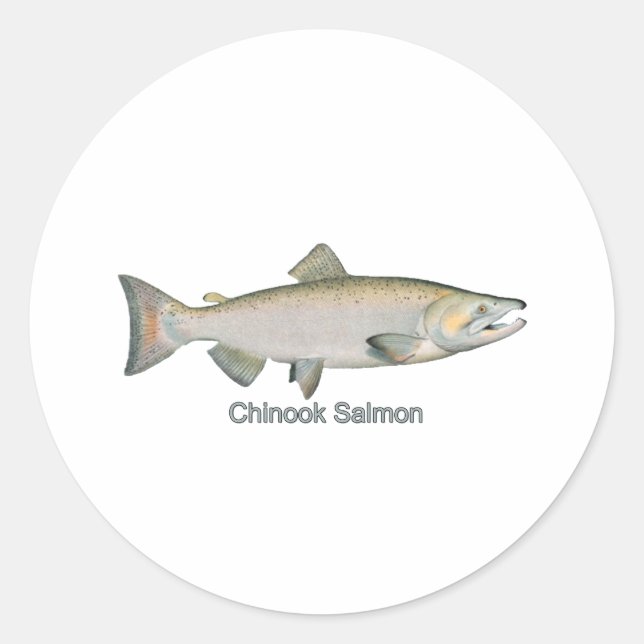 Pegatina Redonda Chinook Salmon (titulado) (Anverso)