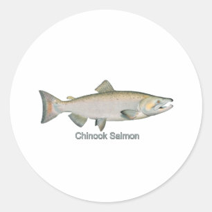 Pegatina Redonda Chinook Salmon (titulado)