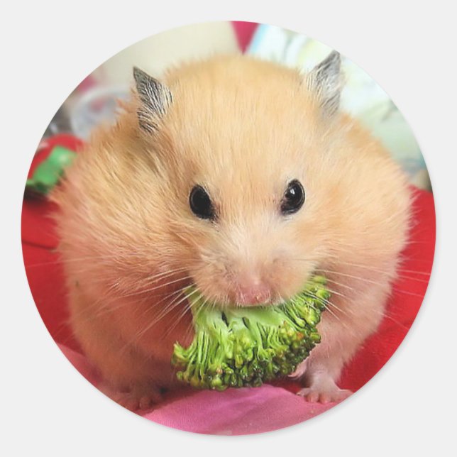 Pegatina Redonda Chmurka y brócoli (Anverso)