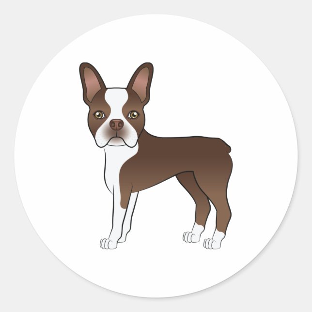 Pegatina Redonda Chocolate Brown Boston Terrier lindo perro de cari (Anverso)