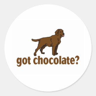 Pegatina Redonda Chocolate Labrador