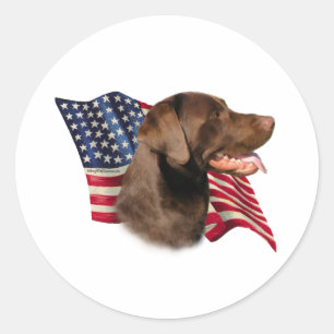 Pegatina Redonda Chocolate Labrador recuperar bandera estadounidens