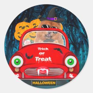 Pegatina Redonda Chow Chow Perro Conductor Coche Asustado Halloween