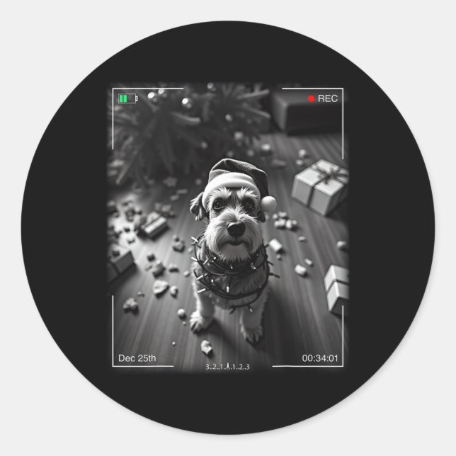 Pegatina Redonda Christmas Schnauzer Caught On Camera  (Anverso)