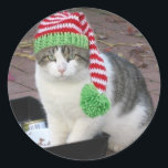 PEGATINA REDONDA CHRISTMAS STICKER<br><div class="desc">"¡Hola a todos! Creé una pegatina de Navidad. amor,  Fatboy Babushka".</div>