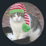 PEGATINA REDONDA CHRISTMAS STICKER<br><div class="desc">"¡Hola a todos! Creé una pegatina de Navidad. amor,  Fatboy Babushka".</div>