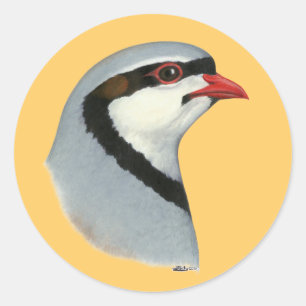 Pegatina Redonda Chukar: Cabeza de perdigón