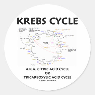 Pegatina Redonda Ciclo de ácido cítrico del ciclo de Krebs A.K.A.